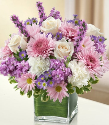 Spring Hope - Roses & Carnations with Daisies Gerberas